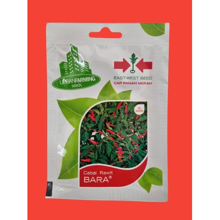 Benih Cabai Rawit BARA