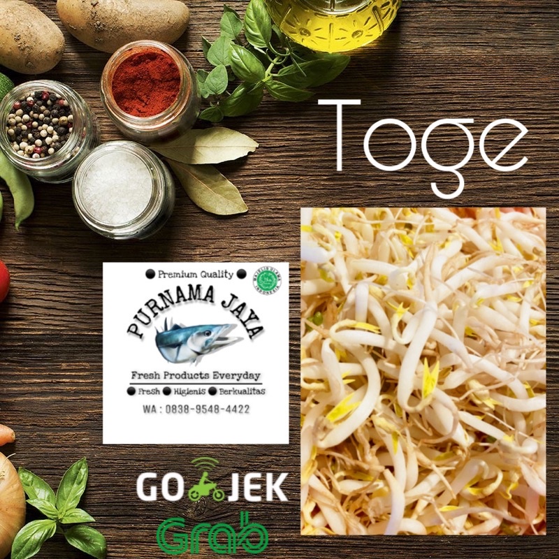 

toge segar bandung purnamajaya