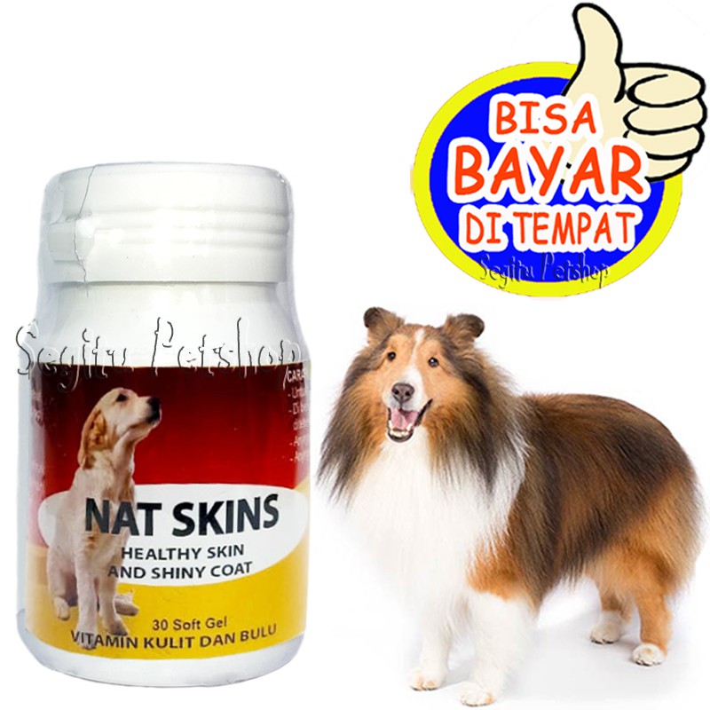 VITAMIN ANJING BULU RONTOK PENUMBUH PELEBAT BULU NAT SKINS DOG