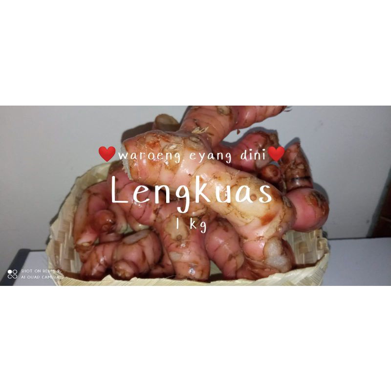 

lengkuas 1 kg