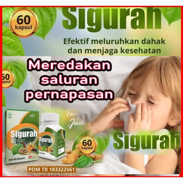 Obat Gurah Hidung Tenggorakan Dahak untuk Asma SIGURAH Herbal Batuk Asli Original BPOM isi 60 Kapsul