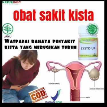 Kysto up herbal Naturindo fresh