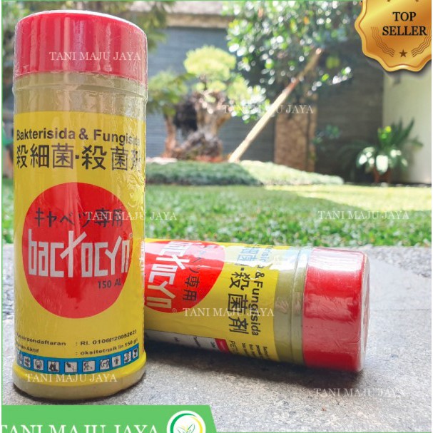 200 Bakterisida + fungisida Bactocyn **