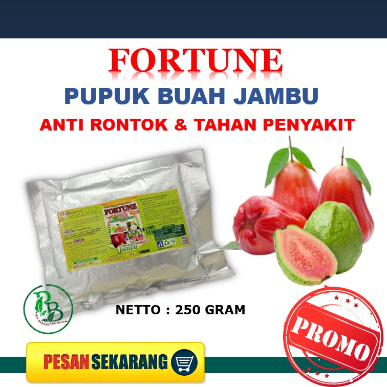 Booster Jambu Air, Pupuk Booster Buah Jambu TERBAIK Biar Cepat Berbuah