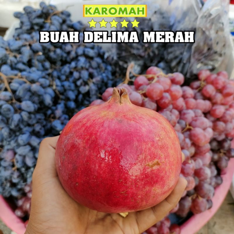 

BUAH DELIMA MERAH IMPORT 1 BUAH