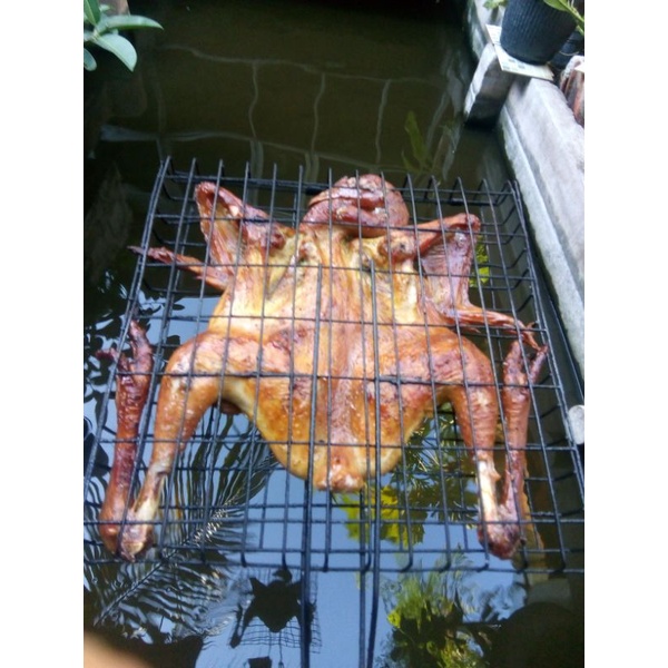 

ayam kampung panggang utuh