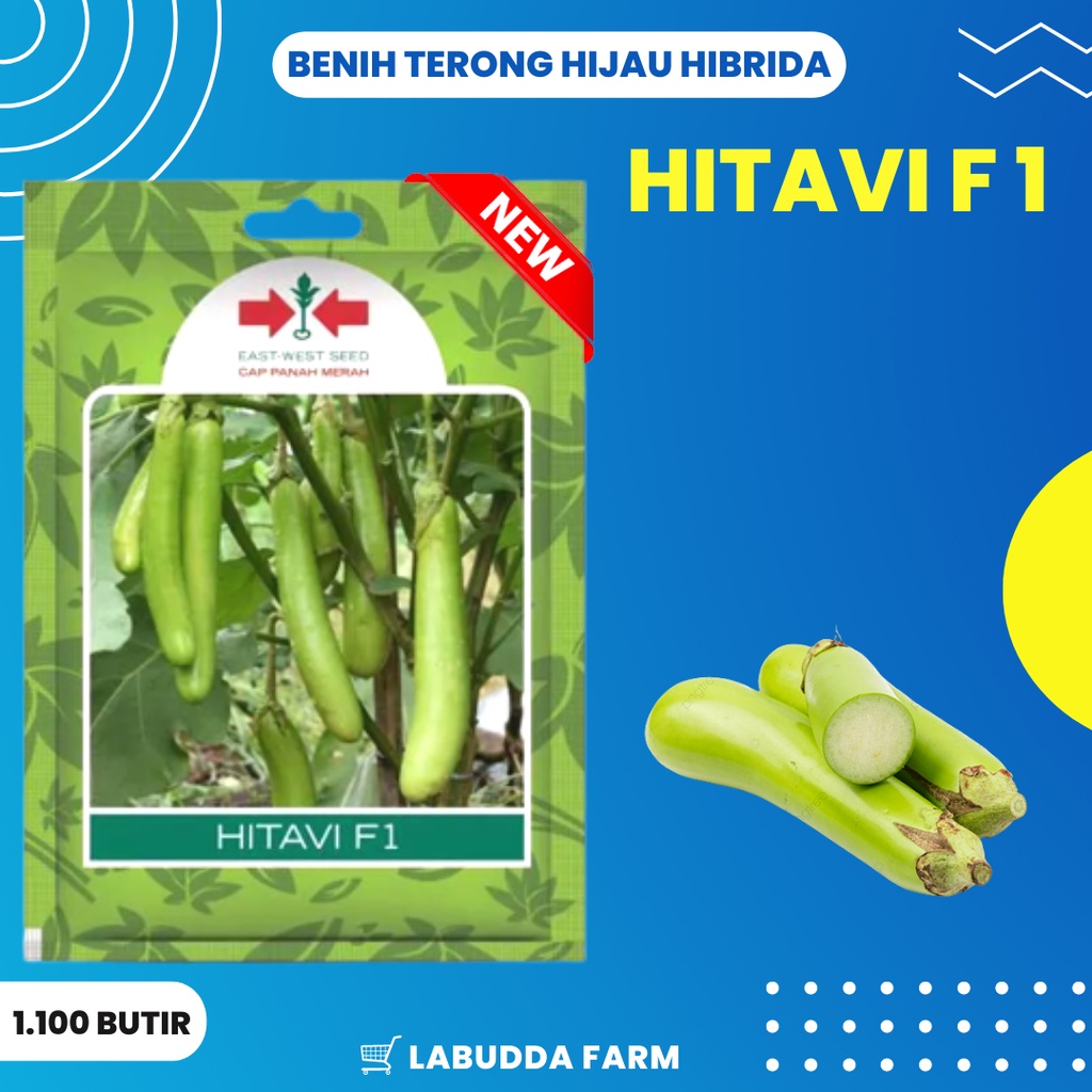 Benih Terong - Bibit Terong - Terong Hitavi F1 Terong Hijau Tahan Virus Kemasan 1100 butir Original 