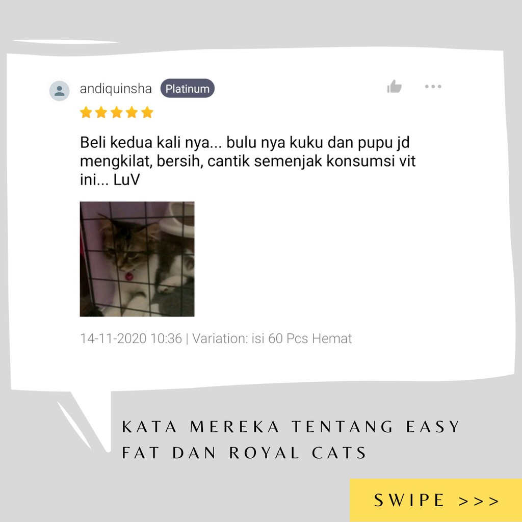 Vitamin Kucing Bulu Lebat Royal Cats