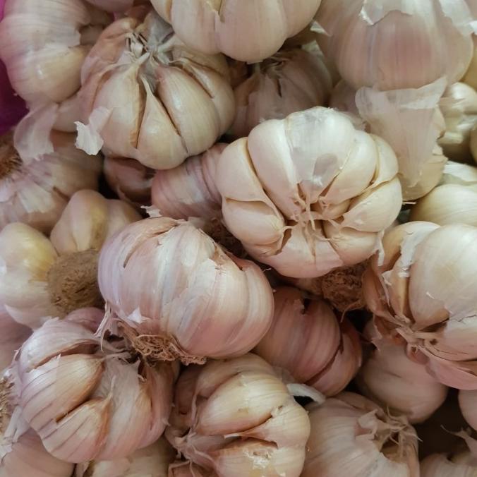 

Diskon bawang putih super 500 gram Diskon