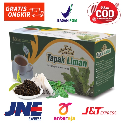 

obat herbal FLU da AMANDEL teh tapak liman original tazakka ampuh ISI 20 kantong celup HALAL BPOM