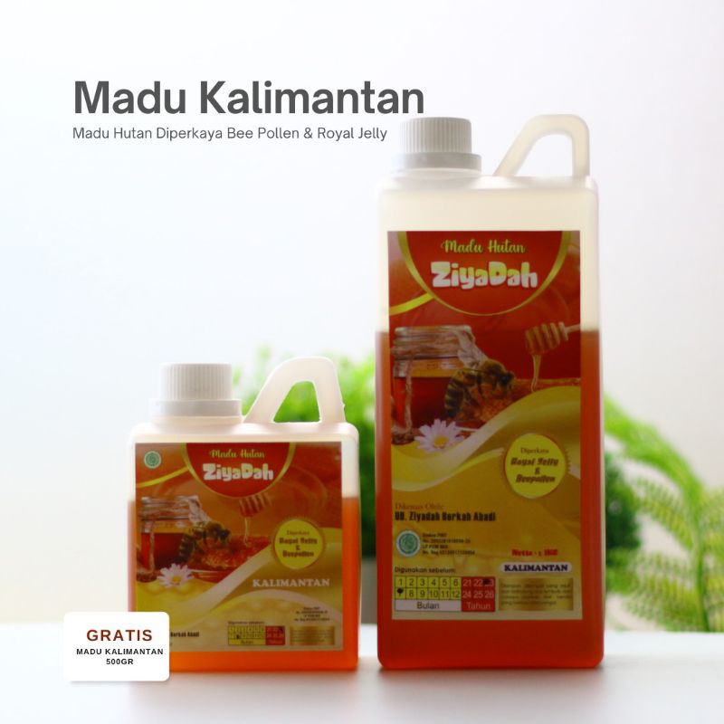

DSM Healthy - Madu Kalimantan Ziyadah 1000gr Free 500gr 1500 Kuning