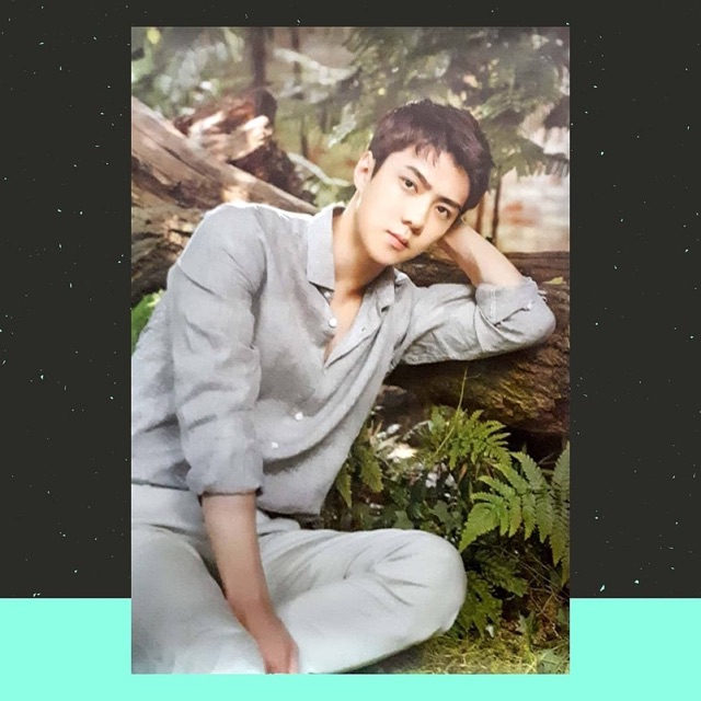 ( OFFICIAL) POSTER NATREP EXO - BAEKHYUN AND SEHUN