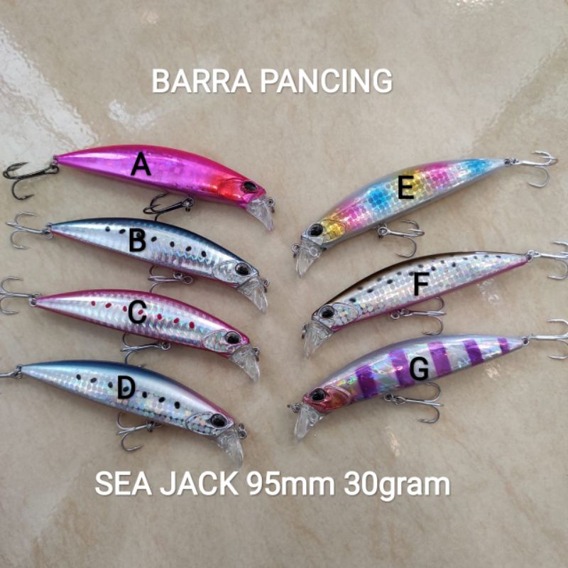 SEA JACK 95mm 30gram Lure Minnow Casting