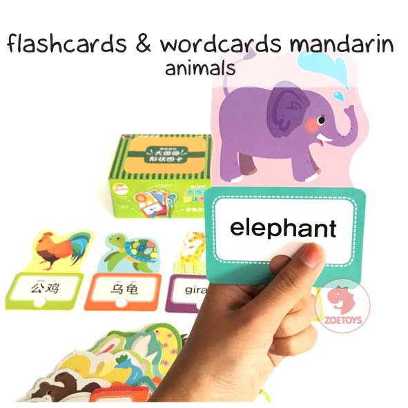 Zoetoys Flashcards Basic Mandarin | Flashcard Kartu Pintar Balita Termurah Animal Body Parts Children | Flash Card Alat Bantu Belajar | Mainan Edukasi Anak