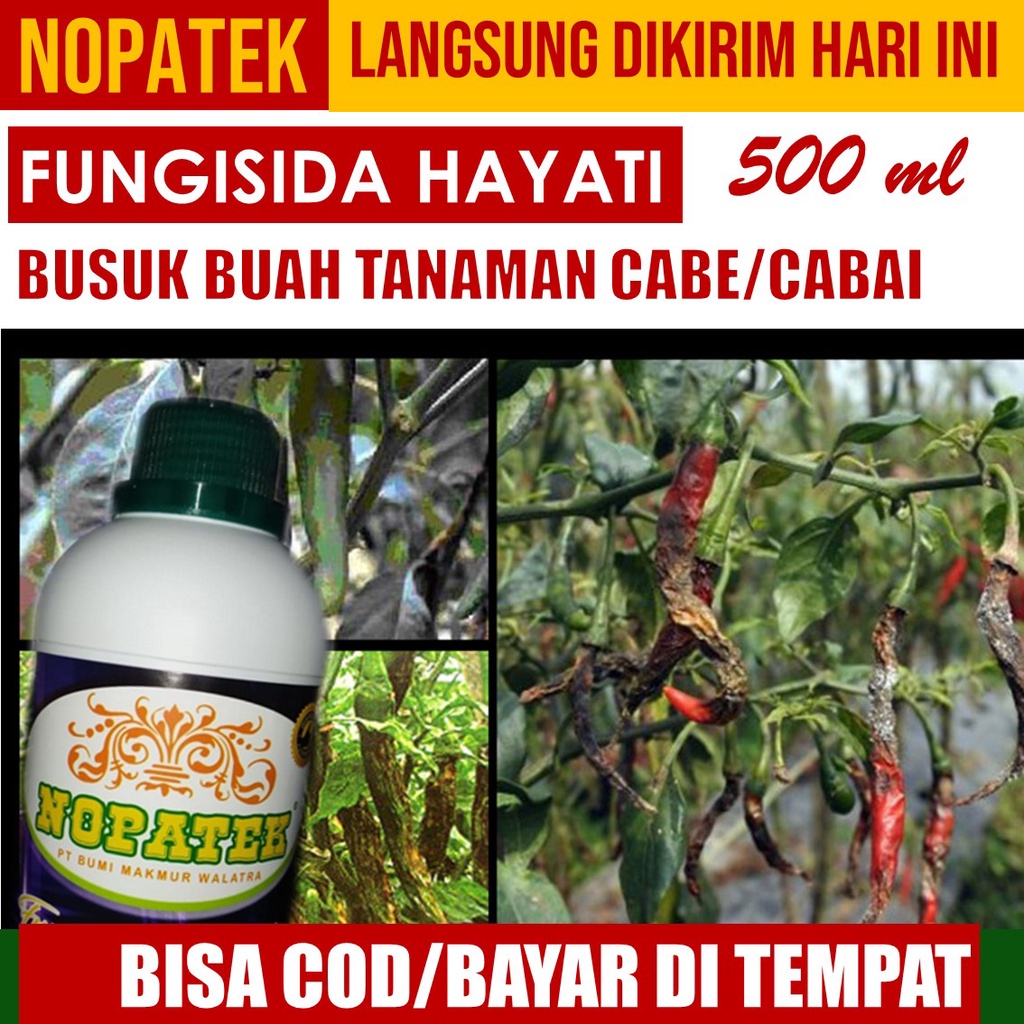 [500 ml] NOPATEK 500 ml Obat Busuk Buah Cabe/Cabai Paling Manjur, Pupuk Semprot Obat Hama Penyakit B