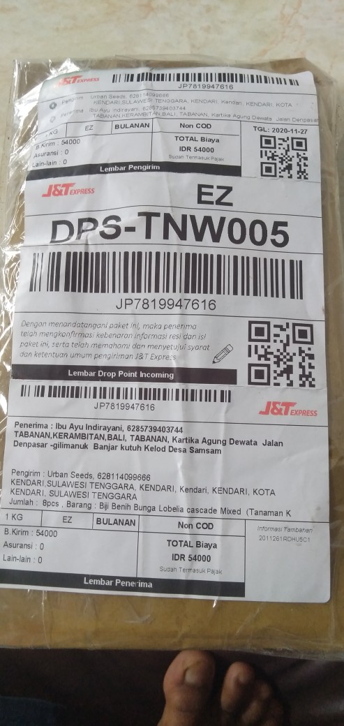 Biji Benih Bunga Lobelia Cascade Mixed  (tanaman Klasik Untuk Keranjang)