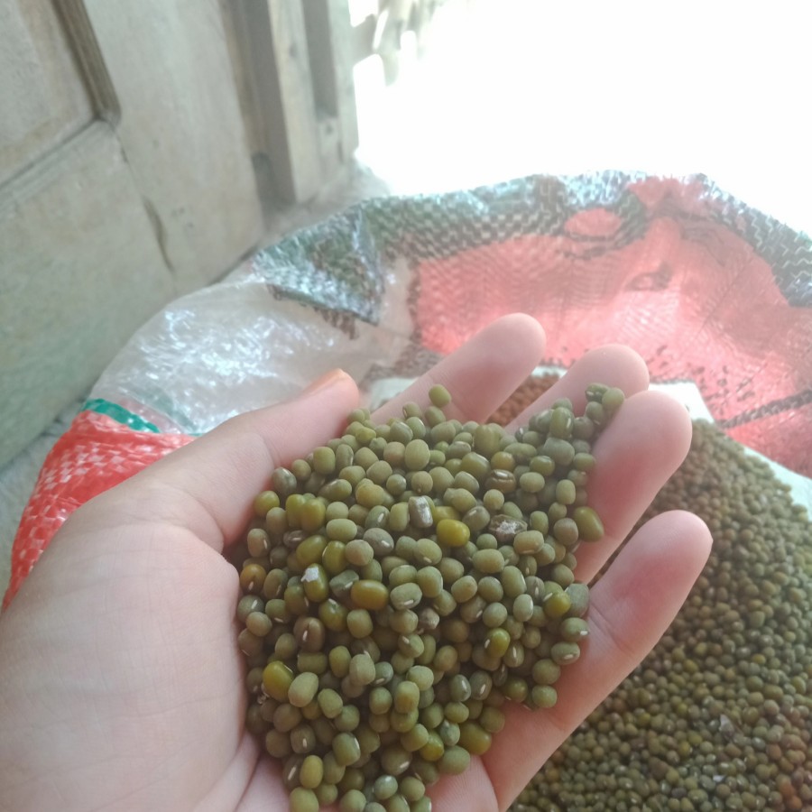 

Kacang Hijau 250 Gram