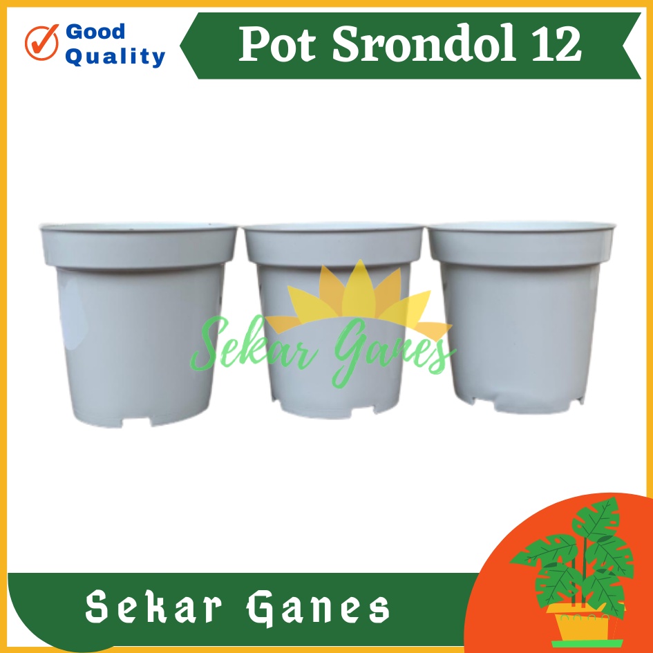 Pot Tinggi Srondol 12 PUTIH - Pot Tinggi Usa Effiel 18 20 25 Lusinan Pot Tinggi Tirus 15 18 20 30 35 40 50 Cm Paket murah isi 1 lusin pot bunga plastik pot tanaman Pot Bibit Besar Mini Kecil Pot Srondol Pot Bunga Termurah Bahan Bagus