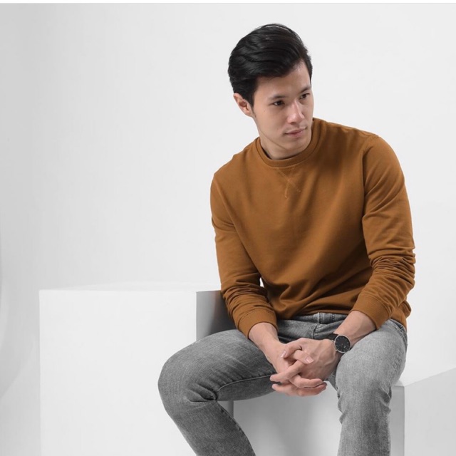 Basic Sweater Light Brown L Male ID