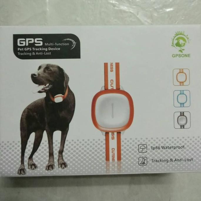 ,,,,,,,] Gps Pet Tracker