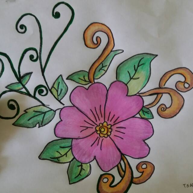 1205197801071978aziziis