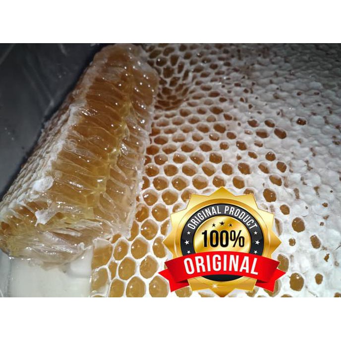 

SARANG LEBAH MELIFERA - SARANG MADU ASLI 500 GR