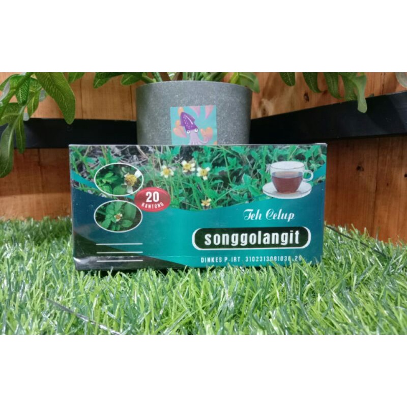

TEH HERBAL TEH SONGGOLANGIT