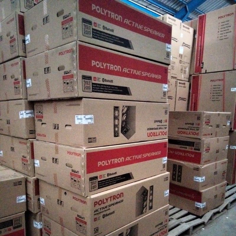 Speaker Polytron PAS 8E28 NO RADIO Bergaransi Resmi Suara Menggelegar