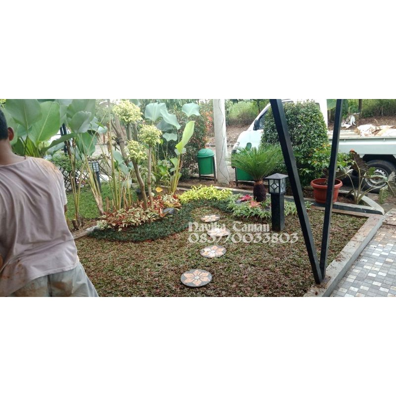 Jasa Pembuatan Taman Minimalis - Renovasi Taman Rumah