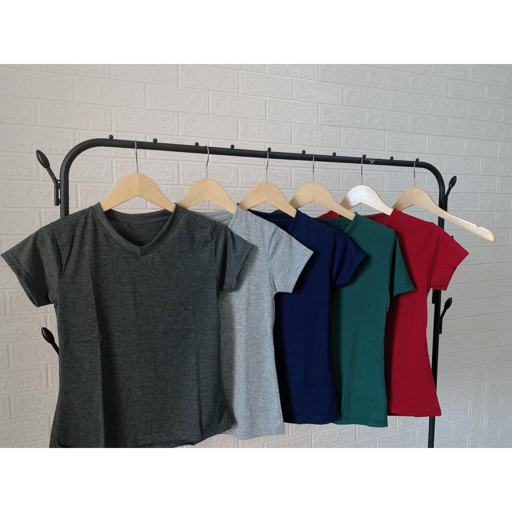 KAOS POLOS VNECK/AURORA CLOTHING