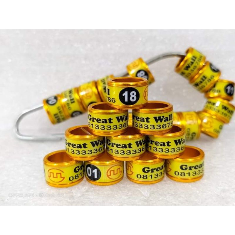 RING MERPATI UKURAN 9MM MODEL RODA/RING RODA /RING BURUNG MERPATI DEWASA