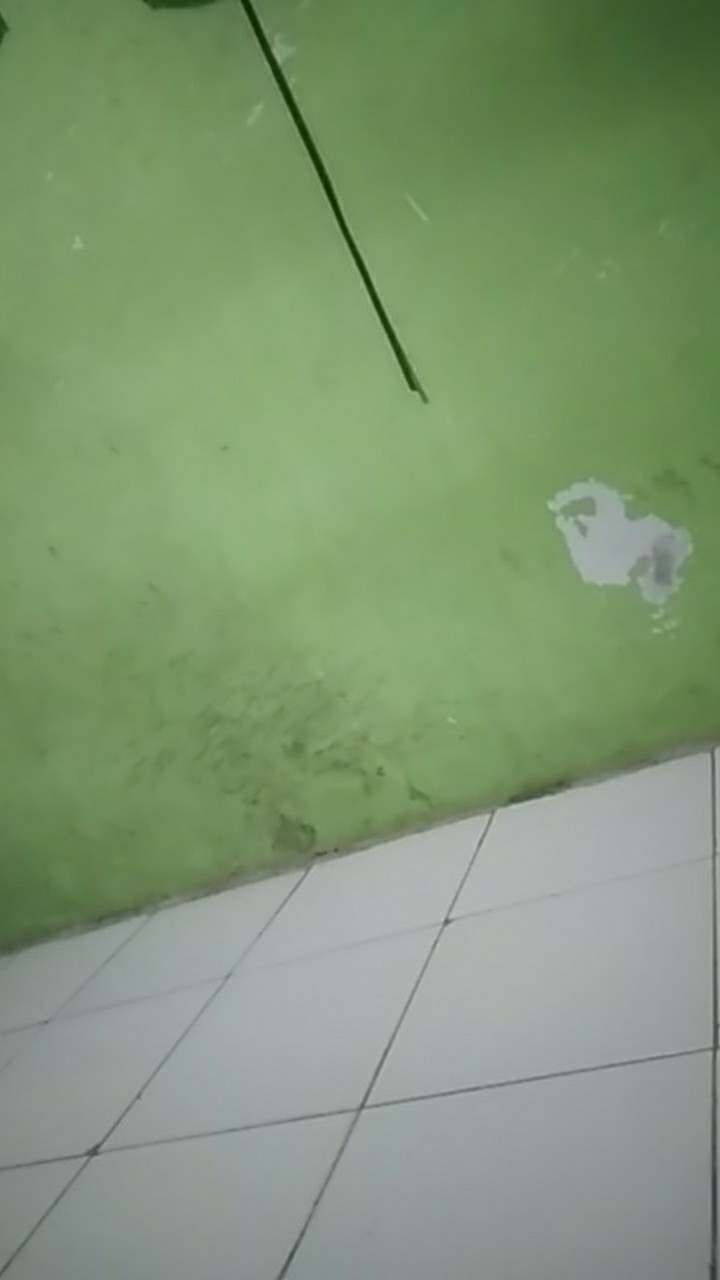 Obeng Sok Socket T Set 22pcs