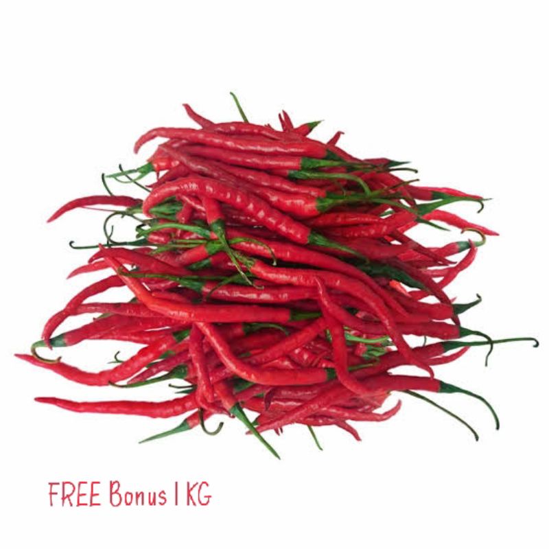 

Cabe Merah Keriting