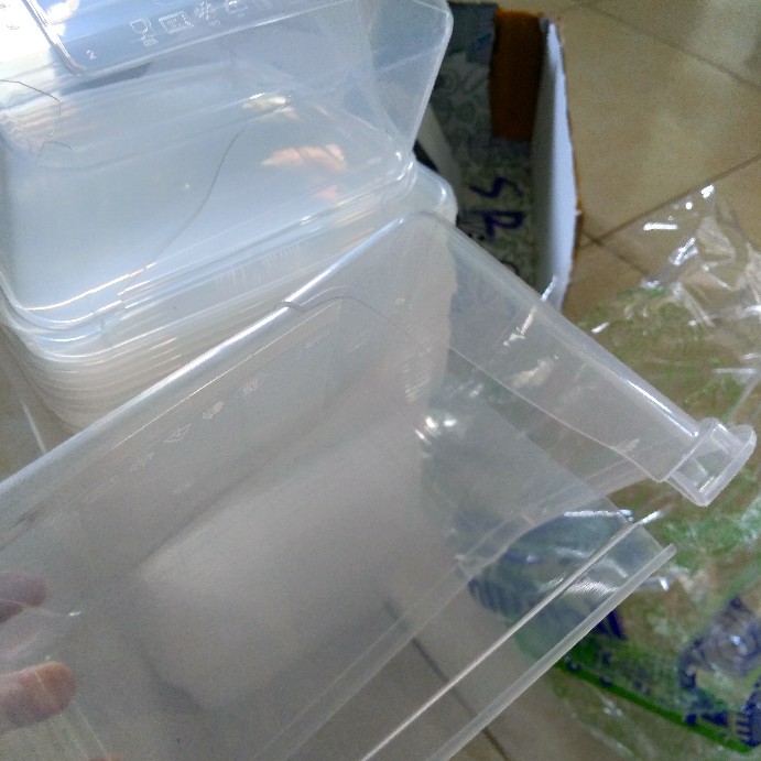 Thinwall Kotak (square) 1500ml/tempat Salad/box Nasi