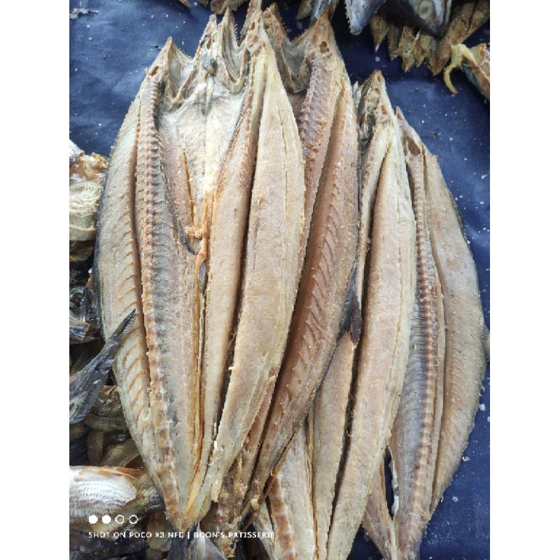

ikan Asin Tenggiri