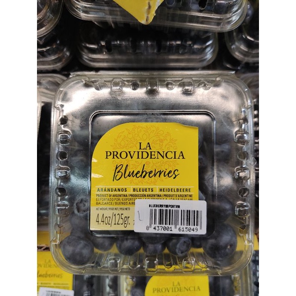 

Blueberries Import Jumbo La Providencia 125grm