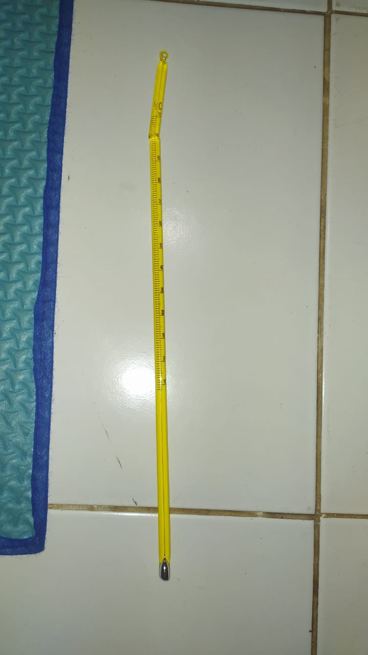 Saranaperaga - Termometer Air Raksa 10 - 110 Hg