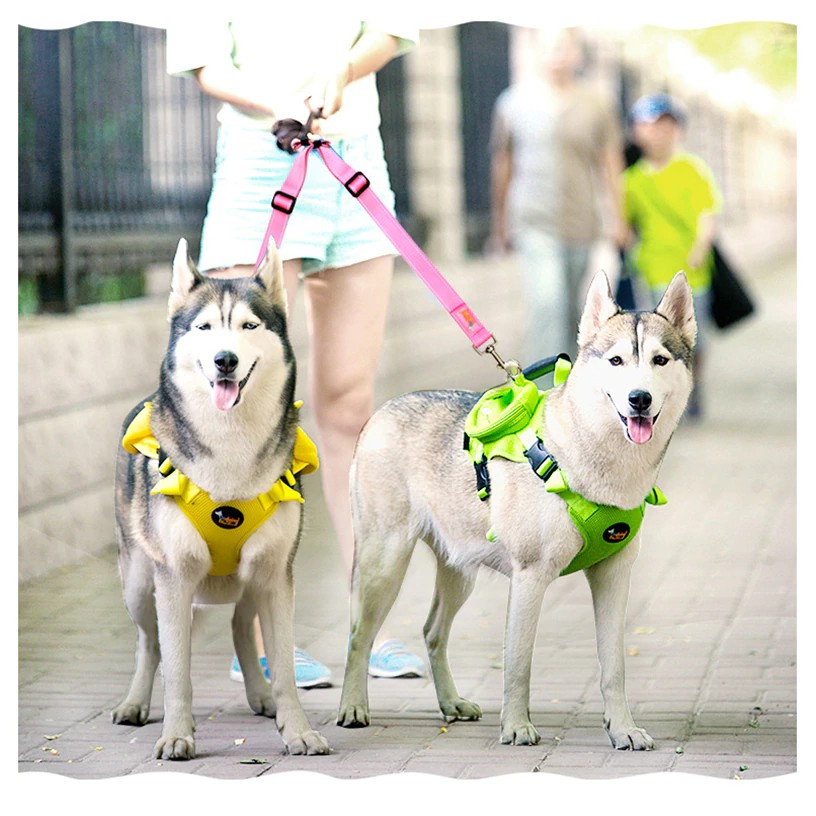 Import Solid Color Double Pet Dog Leash Multiple Dual Coupler 2 Way Dogs Leashes Strong Nylon Pet Shopee Indonesia