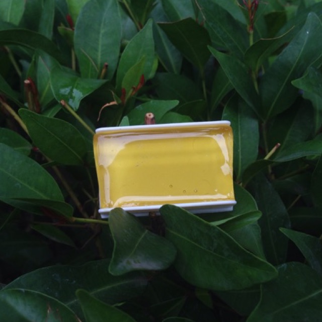 ROSSIN BIOLA BUAT BOW BIOLA