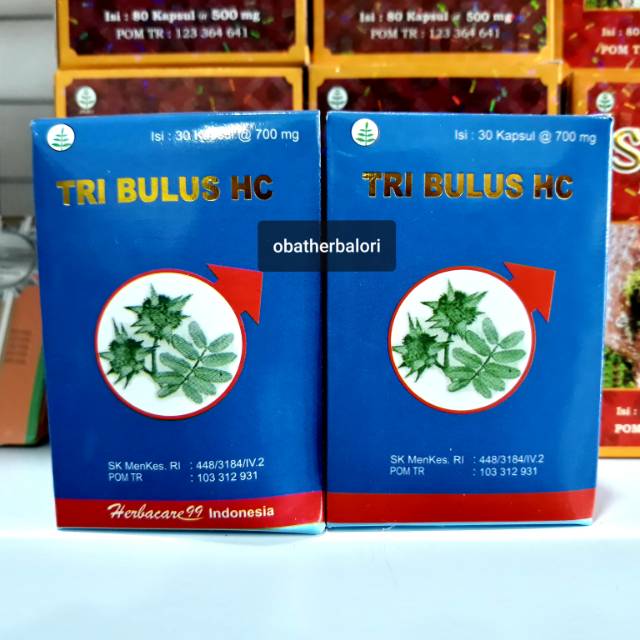 Tribulus Hc Obat Herbal Hormon Pria