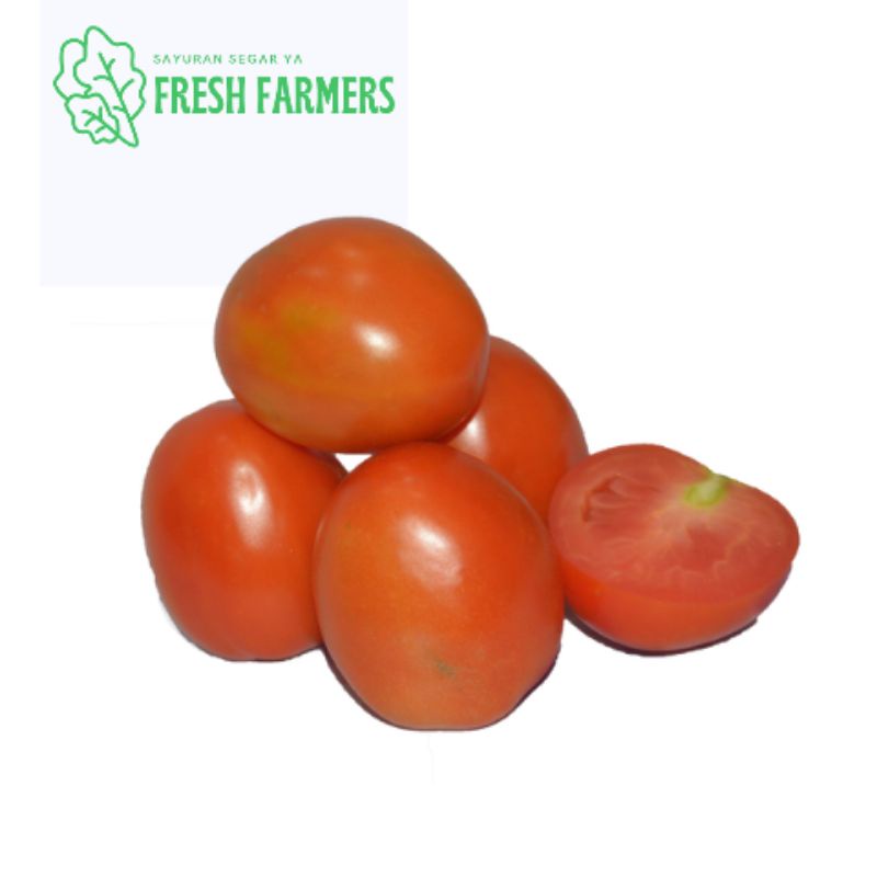 

Tomat Merah Segar / Red Tomato 500 Gr