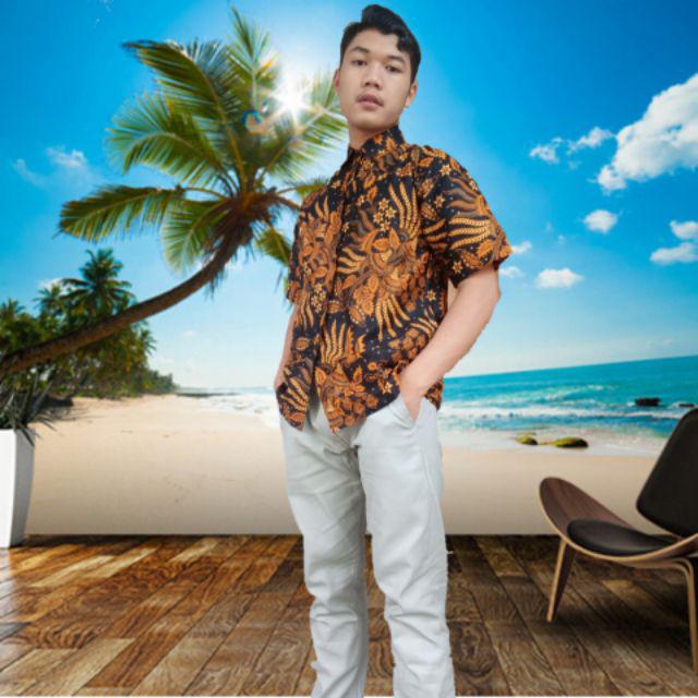Kemeja Batik Motif Pekalongan Kemeja Batik Terlaris Se Indonesia Kemeja Hem Batik Size M-xl Murah