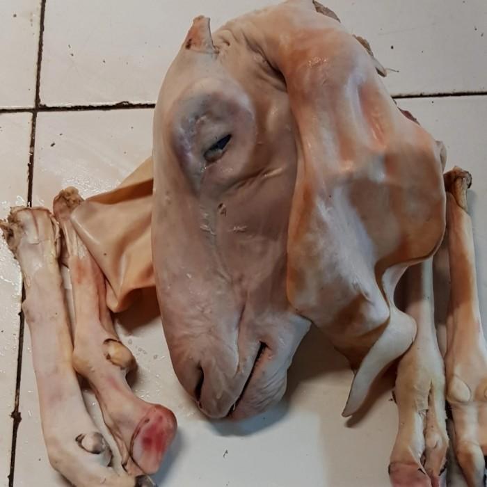 

Meat | Kepala Kambing 1 Set + Kaki Super Besar