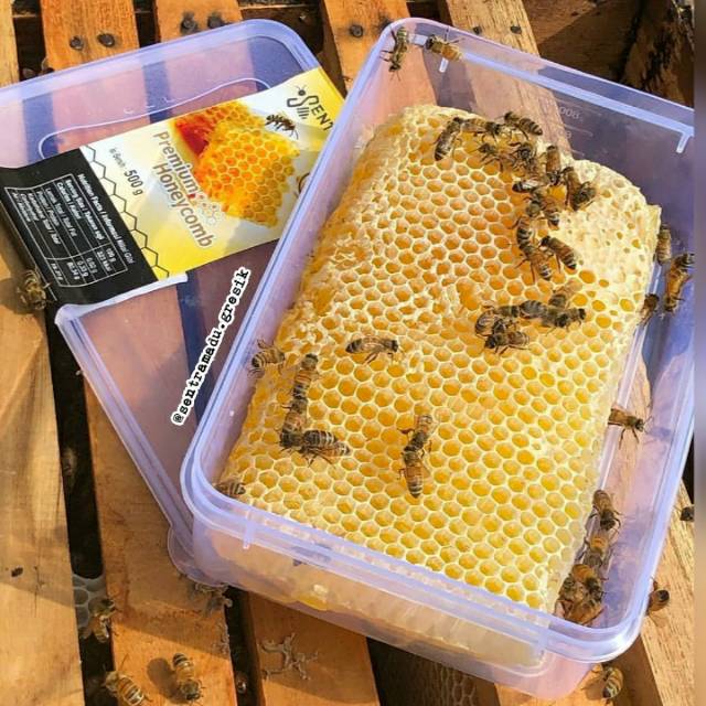 

SENTRA MADU Sarang madu PREMIUM 500 gram