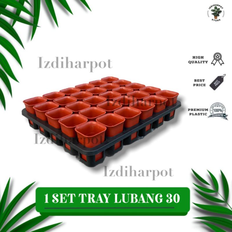 1 SET TRAY LUBANG 30 + POT NKT KOTAK 5CM MERAH BATA 30 PCS | TRAY SEMAI BIBIT