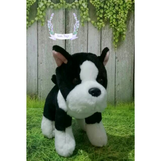 Boneka Anjing French Bulldog