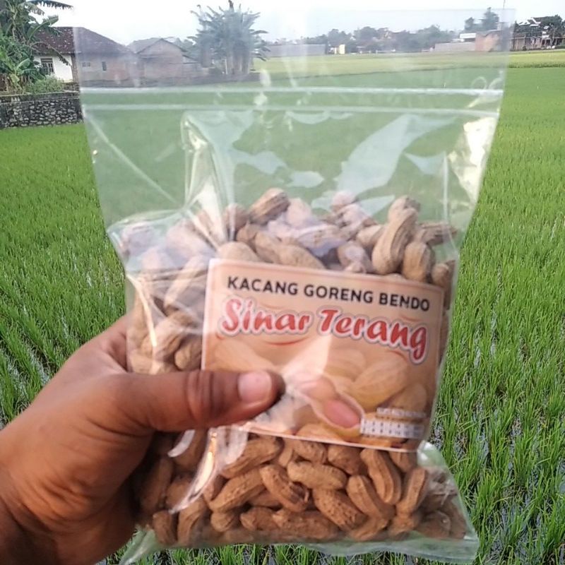 

Kacang sangrai kemasan 500gr