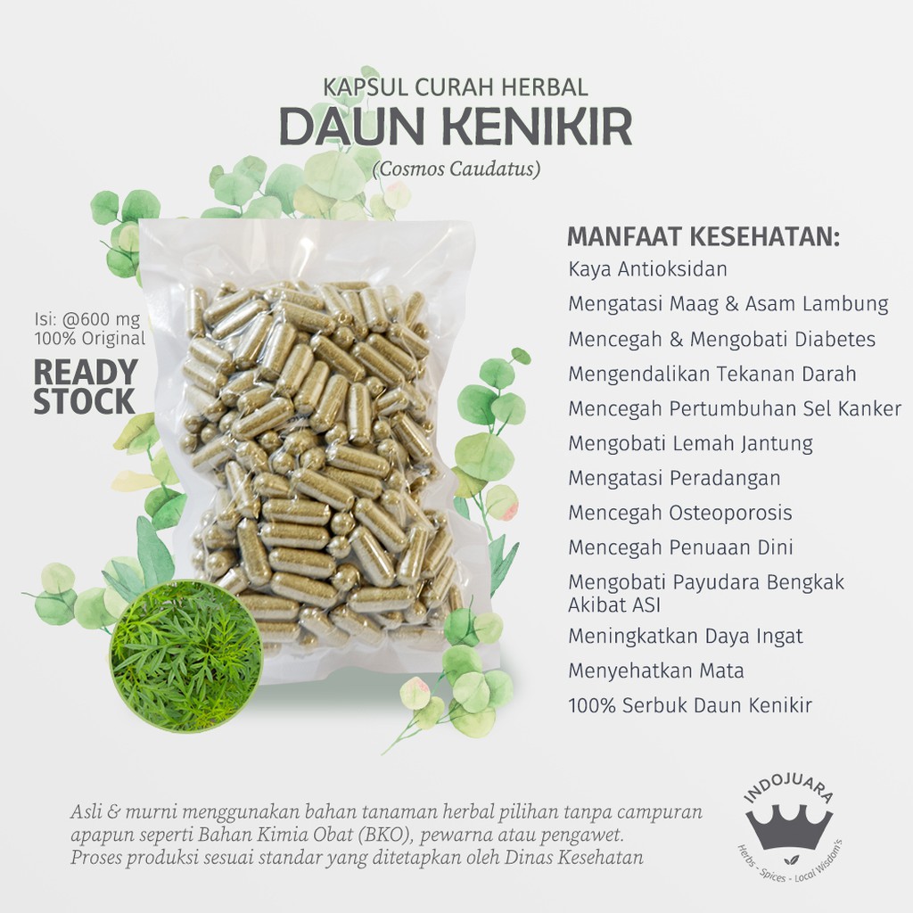 

DAUN KENIKIR 200 x 600mg Kapsul Curah Herbal Osteoporosis Maag Anti Aging Kaya Antioksidan Diabetes