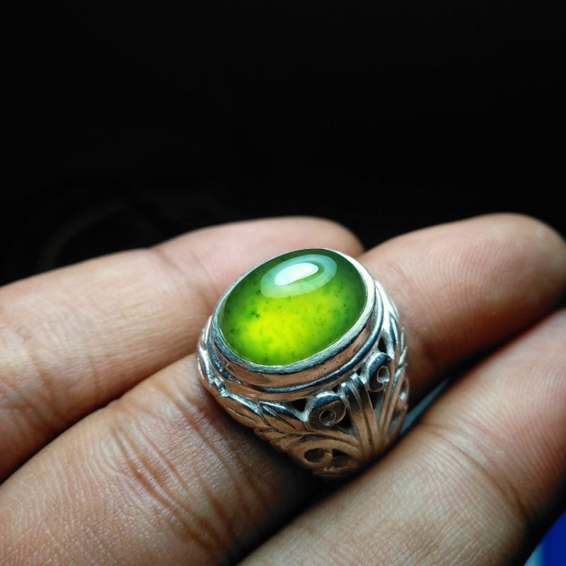 Idocrase Kumbang jati totol gerimis Small