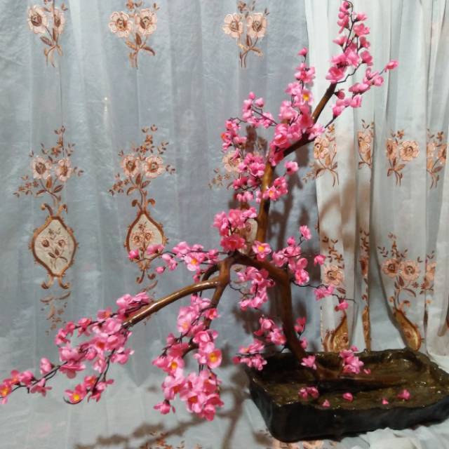 Bonsai sakura